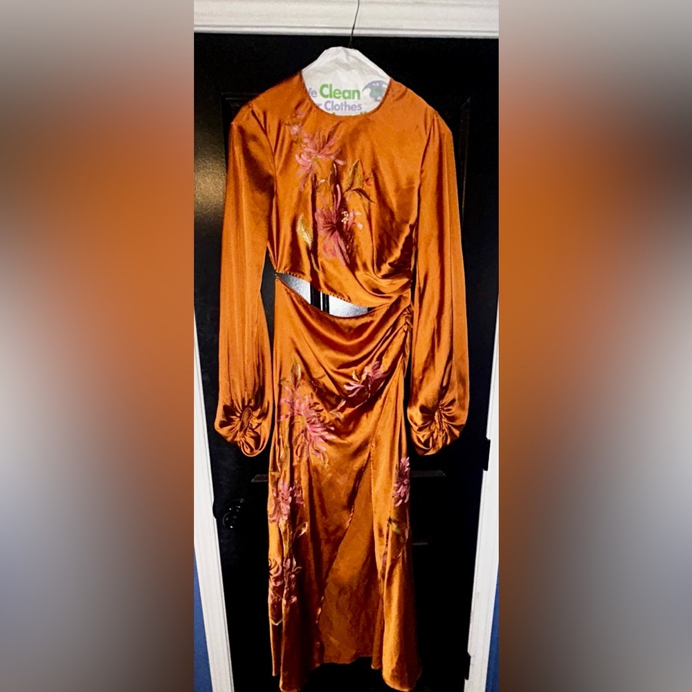 ASOS DESIGN long sleeve cut out bias maxi dress with floral embroidery in rust - Picture 2 of 5